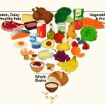 RFK Jr. Fixes the Food Pyramid