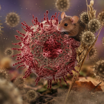 Hantavirus Reportedly Can Shrink Penis By Three Inches