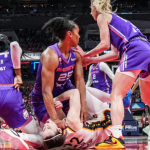 WNBA Proves That Blacks Hate Whites